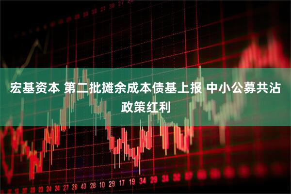 宏基资本 第二批摊余成本债基上报 中小公募共沾政策红利