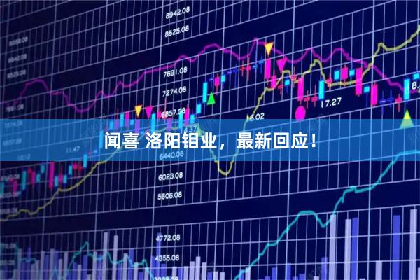 闻喜 洛阳钼业,最新回应!