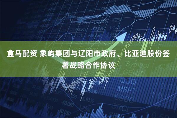 盒马配资 象屿集团与辽阳市政府、比亚迪股份签署战略合作协议