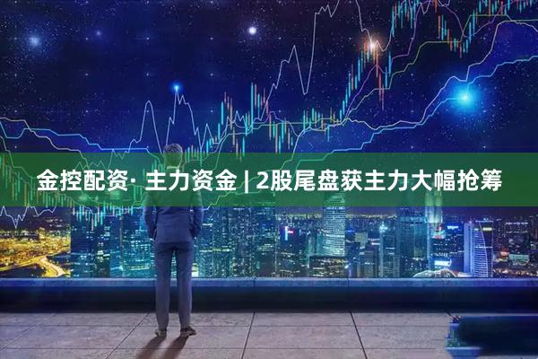 金控配资· 主力资金 | 2股尾盘获主力大幅抢筹