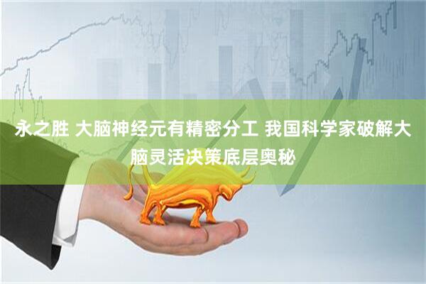 永之胜 大脑神经元有精密分工 我国科学家破解大脑灵活决策底层奥秘