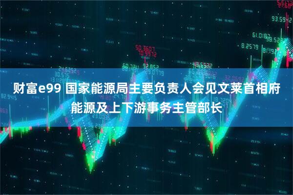 财富e99 国家能源局主要负责人会见文莱首相府能源及上下游事务主管部长